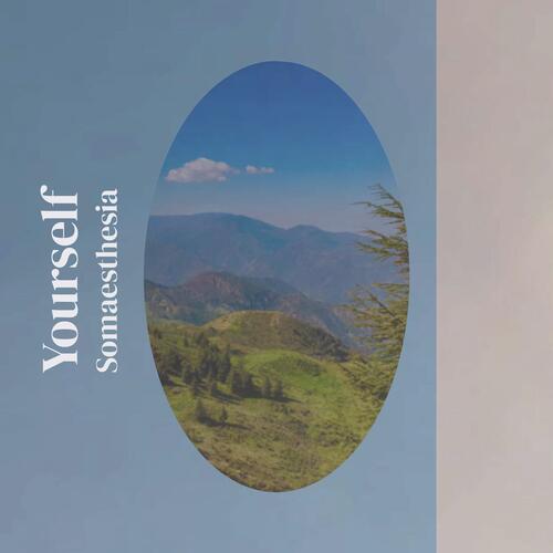 Yourself Somaesthesia cover art