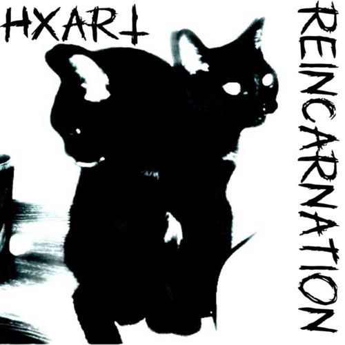reincarnation
