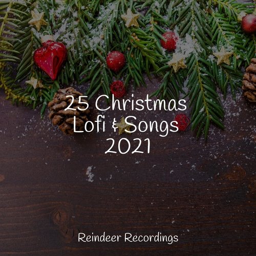 25 Christmas Lofi & Songs 2021_poster_image