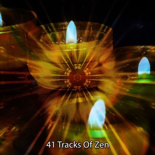 41 Tracks Of Zen_poster_image