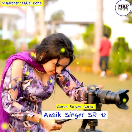 Aasik Singer SR 12