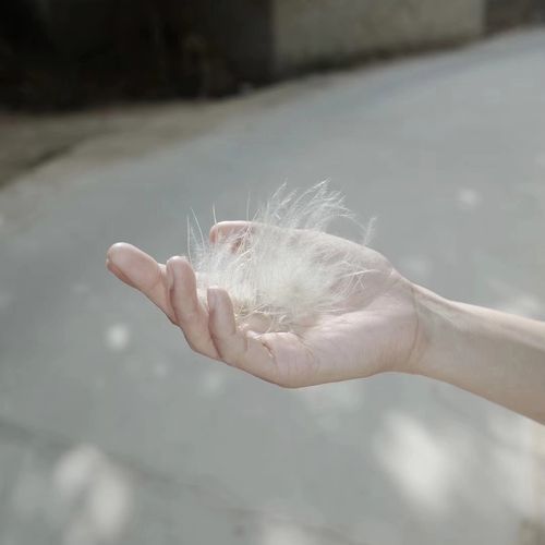 Amber (Instrumental)