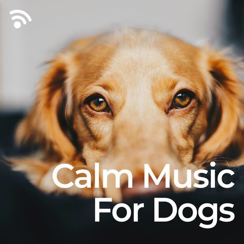 Sleepy Dogs cover art