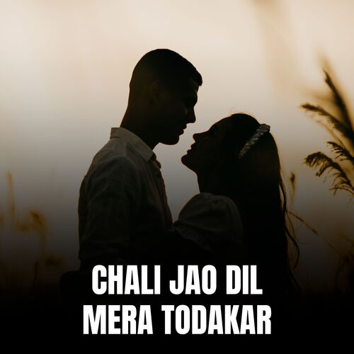 Chali Jao Dil Mera Todakar