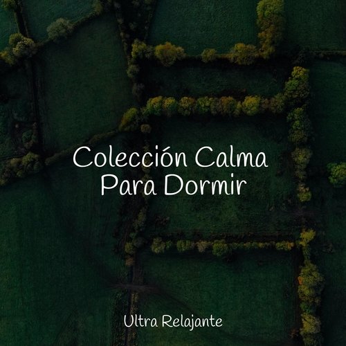 Colección Calma Para Dormir_poster_image