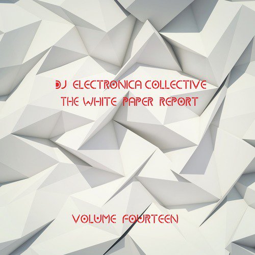 DJ Electronica Collective: The White Paper, Vol. 14