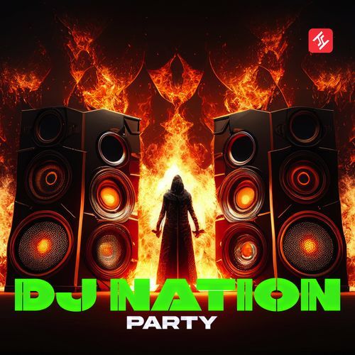 DJ Nation_poster_image