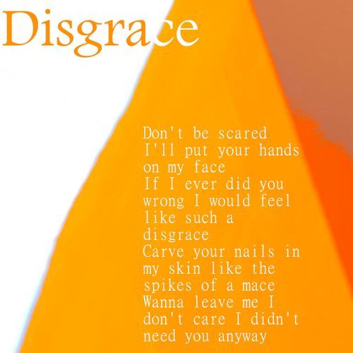Disgrace cover art