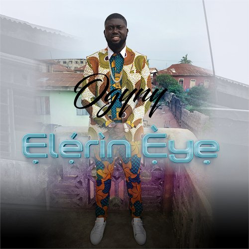Elerin Eye cover art