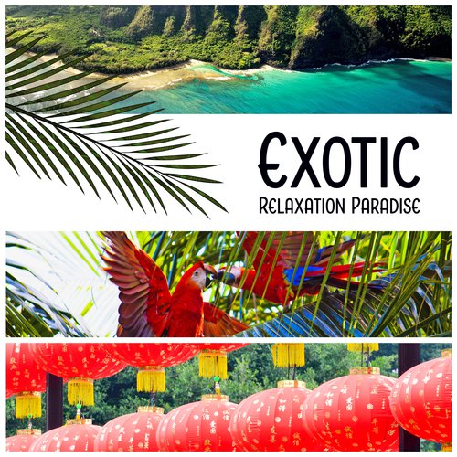 Exotic Relaxation Paradise - Journey Through Lush Tropical Jungle, With Visit in China & Hawaii