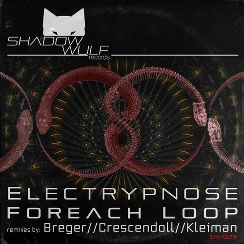Foreach Loop (Kleiman Remix) cover art