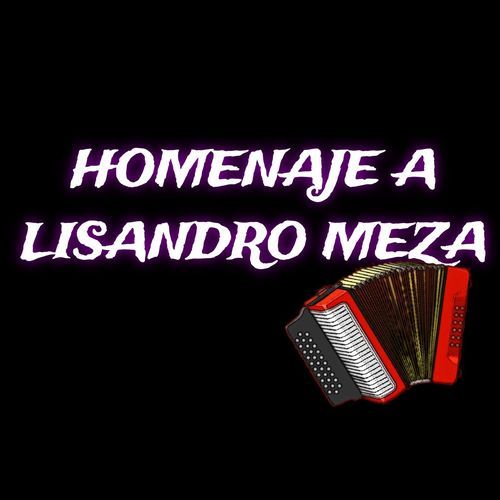 Homenaje a Lisandro Meza cover art