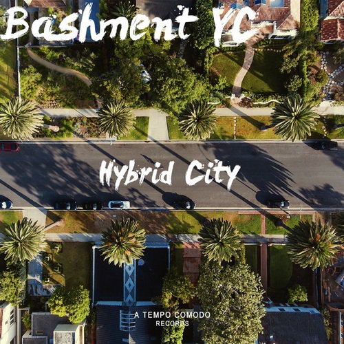 Hybrid City