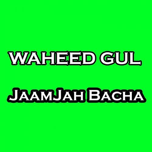 JaamJah Bacha