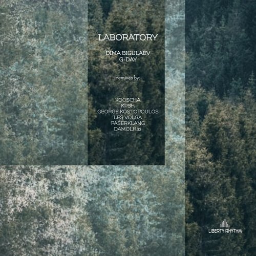 Laboratory (Damolh33 Remix) cover art