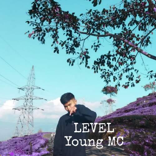 Level