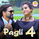 Pagli 4