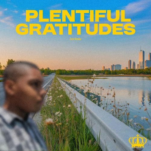 Plentiful Gratitudes