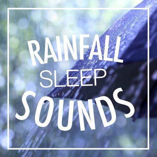 Rainfall Sleep Sounds_poster_image