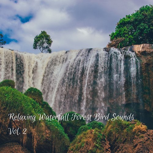 Relaxing Waterfall Forest Bird Sounds Vol. 2_poster_image