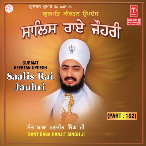 Saalis Rai Jauhri cover art