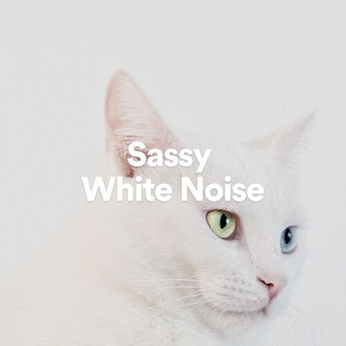 Sassy White Noise_poster_image