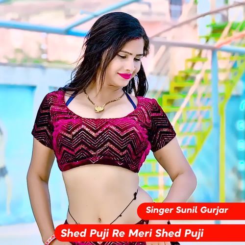 Shed Puji Re Meri Shed Puji