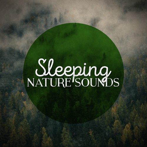 Sleeping Nature Sounds