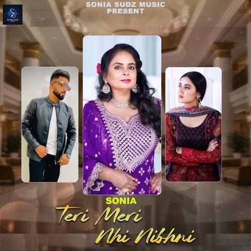 Teri Meri Nhi Nibhni