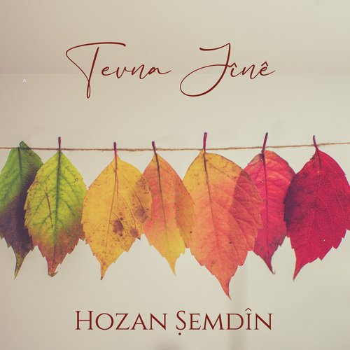 Siyê û hay Mîro cover art