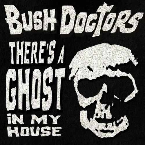 Bush Doctors