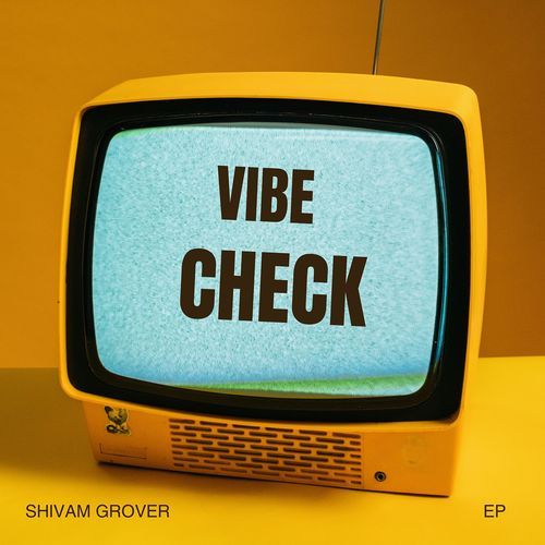 Vibe Check_poster_image