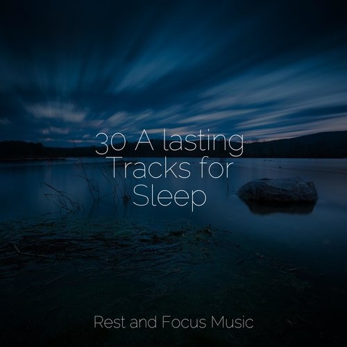 30 A lasting Tracks for Sleep_poster_image