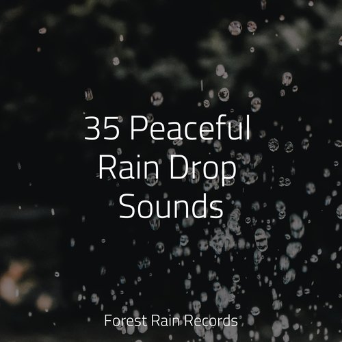 Rain, Storm and Thunder cover art
