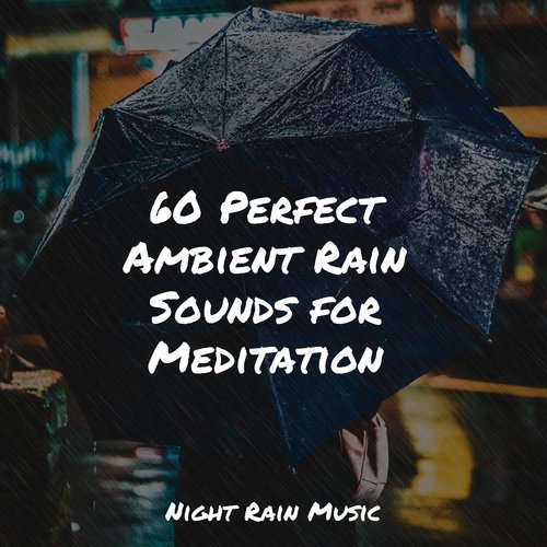 60 Perfect Ambient Rain Sounds for Meditation_poster_image