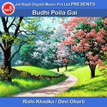 Budhi Poila Gai