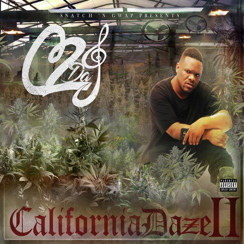 California Daze 2_poster_image