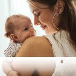 Sons Paisibles des Oiseaux de la Mer