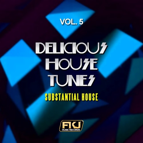 Delicious House Tunes, Vol. 5 (Substantial House)