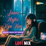 Jaane Mujhe Kya Hua Lofi Mix