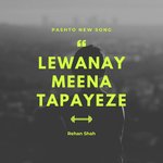 Lewanay Meena Tapayeze