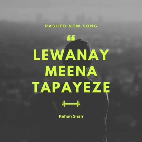 Lewanay Meena Tapayeze_poster_image