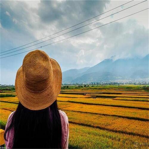 夏日甜系治愈纯音乐（八音盒） cover art