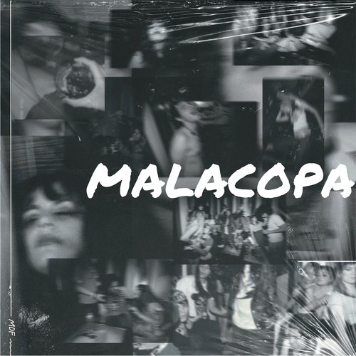 Malacopa_poster_image