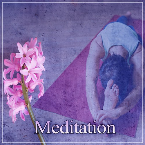 Meditation Dream