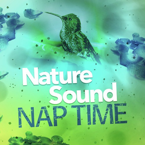 Nature Sound Nap Time