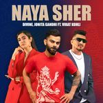 Naya Sher (Punjabi Edit) artwork