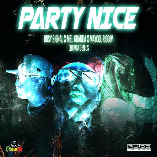 Party Nice_poster_image