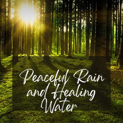 Peaceful Rain And Healing Water Sounds For Meditation, Tai Chi, Reiki , Spa