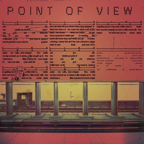 Point of View